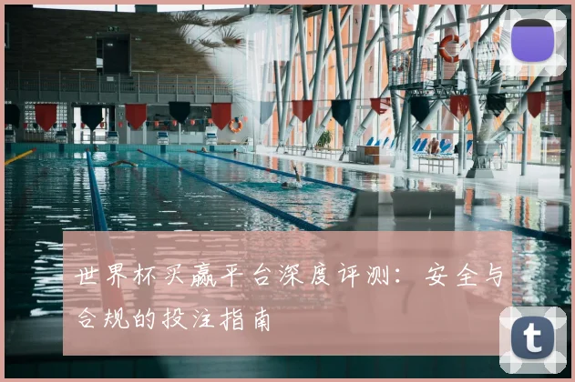 世界杯买赢平台深度评测：安全与合规的投注指南