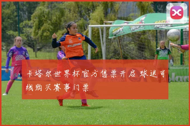 卡塔尔世界杯官方售票开启 球迷可线购买赛事门票