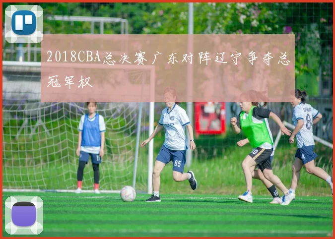 2018CBA总决赛广东对阵辽宁争夺总冠军权