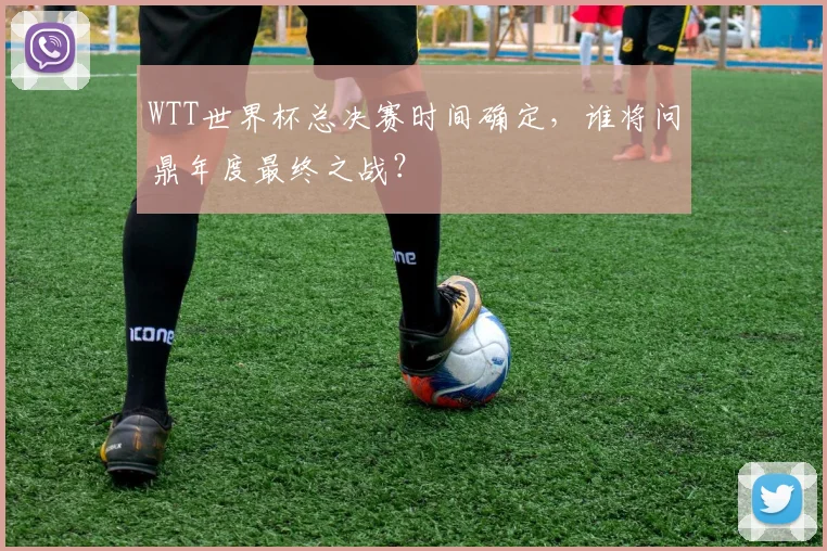 WTT世界杯总决赛时间确定,谁将问鼎年度最终之战?