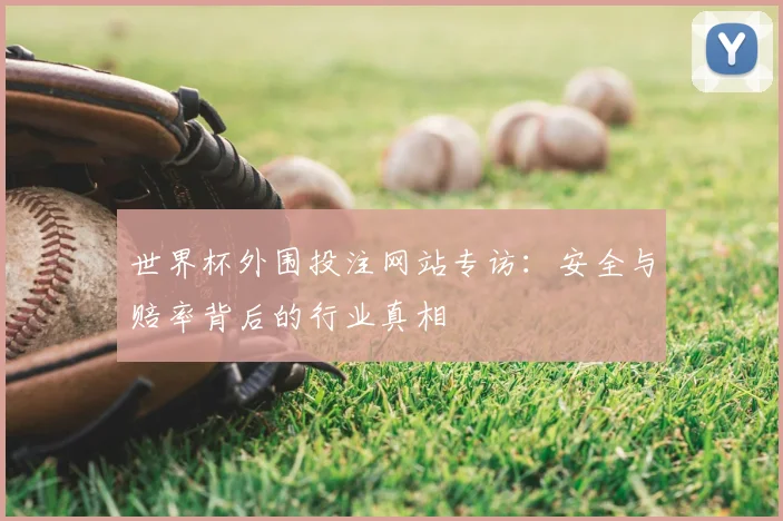 世界杯外围投注网站专访：安全与赔率背后的行业真相