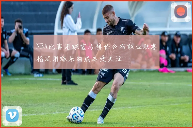NBA比赛用球官方售价公布职业联赛指定用球采购成本受关注