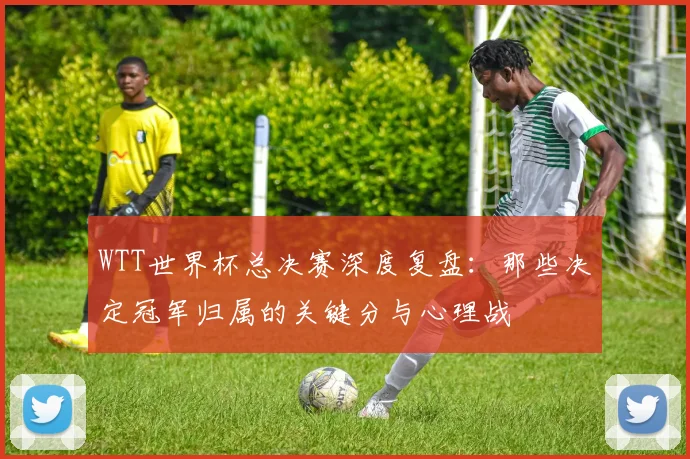 WTT世界杯总决赛深度复盘:那些决定冠军归属的关键分与心理战