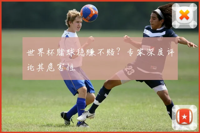 世界杯赌球稳赚不赔?专家深度评论其危害性