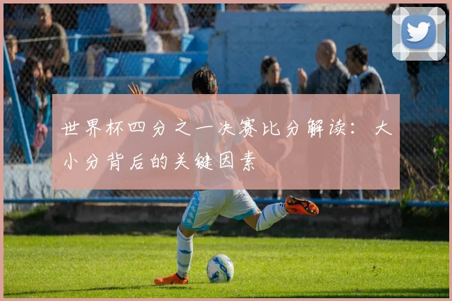 世界杯四分之一决赛比分解读:大小分背后的关键因素