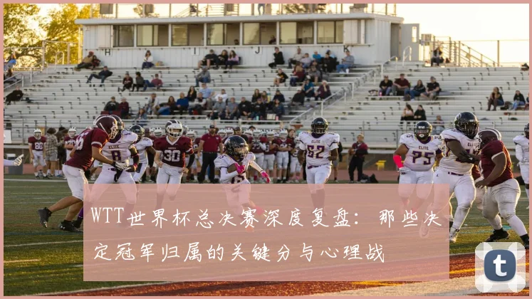 WTT世界杯总决赛深度复盘:那些决定冠军归属的关键分与心理战