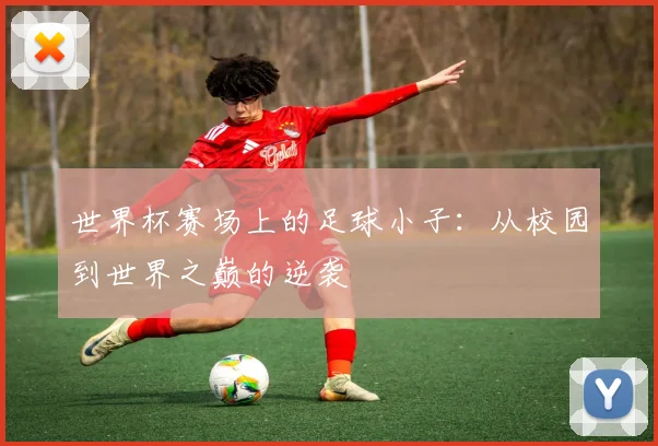 世界杯赛场上的足球小子：从校园到世界之巅的逆袭