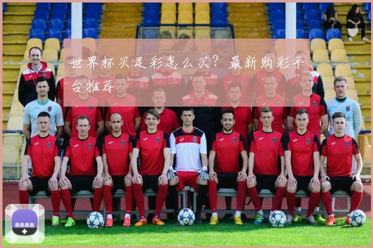 世界杯买足彩怎么买？最新购彩平台推荐